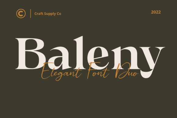 Baleny Duo: A Serif & Script Font That Makes Campaigns Instantly Clearer