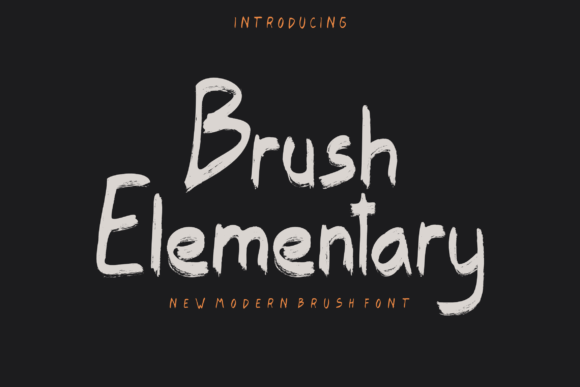 Brush Elementary Review