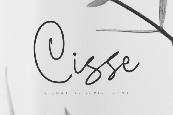 Cisse: A Classy Script Font for Web Design