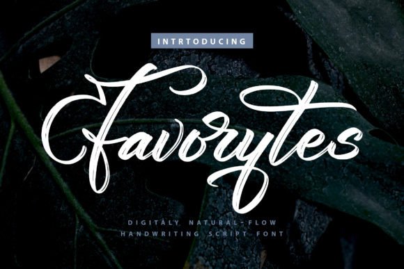 Favorytes: A Dazzling Script Font