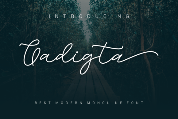 Gadigta: A Bold Script Font