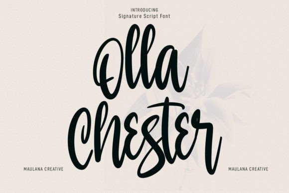 Olla Chester Font Review