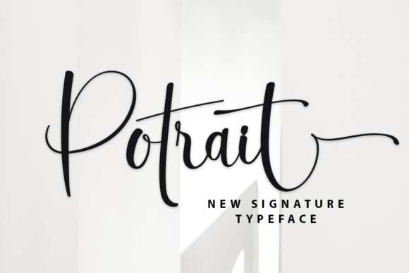 Potrait: A Script Amp Review